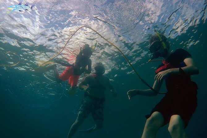 Adventure SNUBA in St. Maarten - The Value: Quality Meets Cost