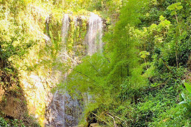 Adventure to a Hidden Waterfall, Private Tour - What’s Included & What’s Not