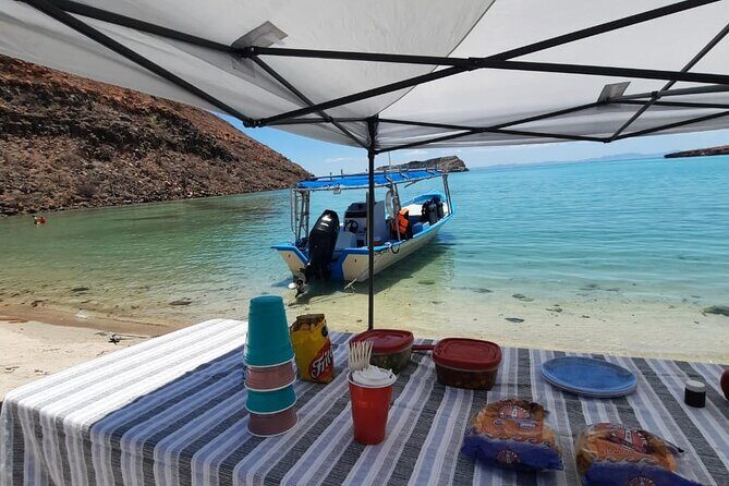 Adventure to Espiritu Santo Island: Snorkel with Sea Lions and Beach - Real Traveler Perspectives