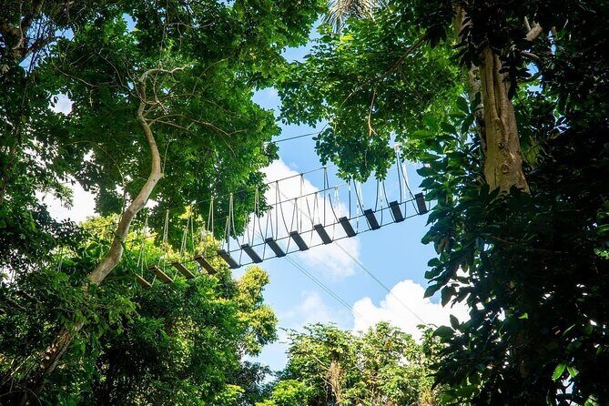 Adventure Trail Tour in the foothills of the National Rainforest - FAQ