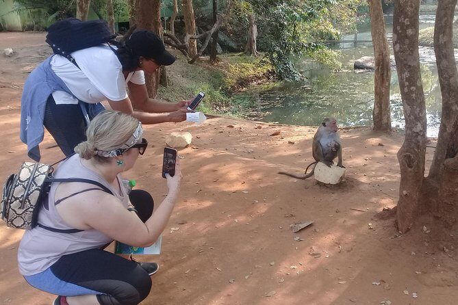 Adventure trincomalee to sigiriya and wild safari ,village tour - Who Will Love This Tour?