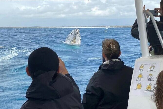 Adventure Whale Watching Tour Mooloolaba - The Itinerary in Detail