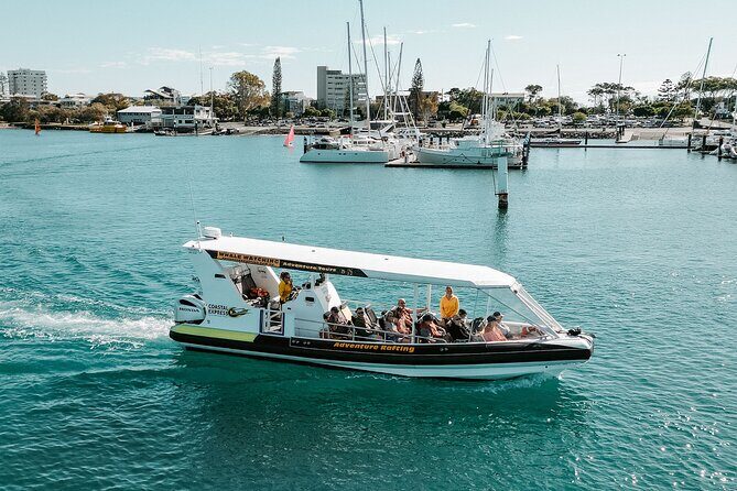 Adventure Whale Watching Tour Mooloolaba - What to Expect and Why It Matters