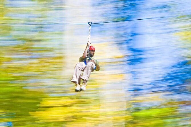 Adventureworks Ziplines at Nashville West - The Value of This Experience