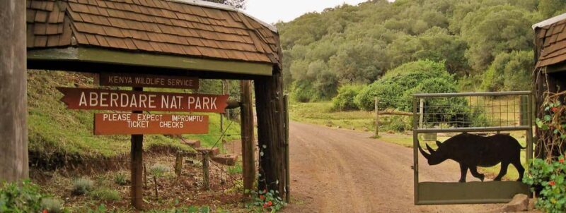 Adventurous Aberdare National Park 2-Day Safari - A Closer Look at the Aberdare Safari Experience