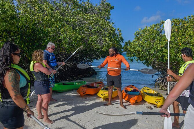 Adventurous Clear Kayak And Snorkeling Tour At Mangel Halto - What the Reviews Reveal