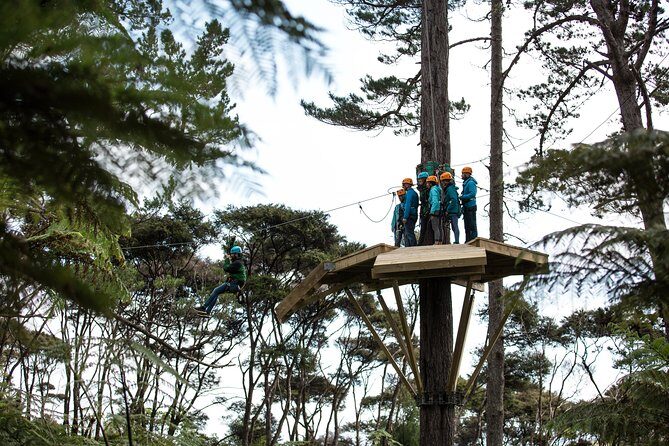 Adventurous Zipline Tour in Coromandel - Final Thoughts