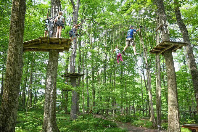 Aerial Adventure Park Admission - The Experience and Atmosphere