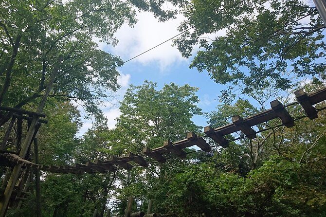 Aerial athletics (Zipline adventure) - Key Points