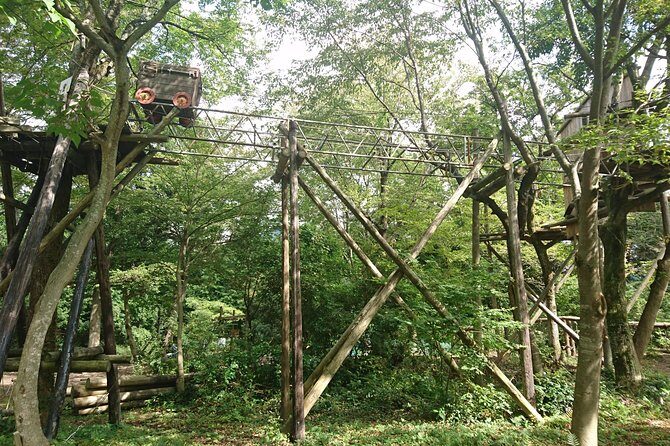 Aerial athletics (Zipline adventure) - The Value and Practical Details