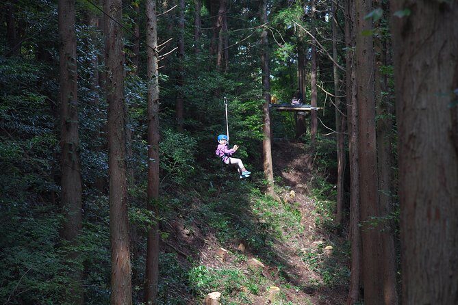 Aerial athletics (Zipline adventure) - Who Should Consider This Tour?