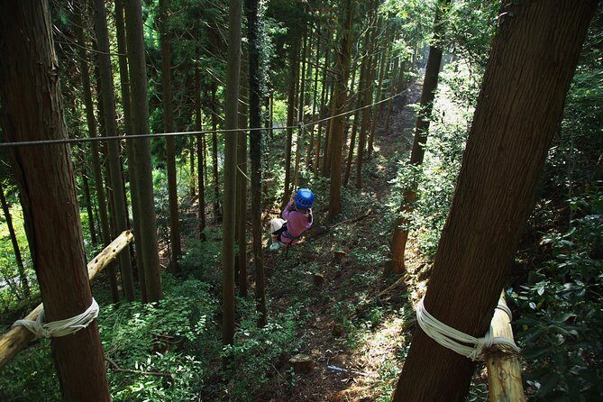 Aerial athletics (Zipline adventure) - FAQ