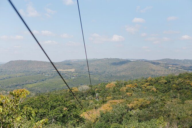 Aerial Cable Trail in Hazyview - Final Thoughts: Who Will Love This?