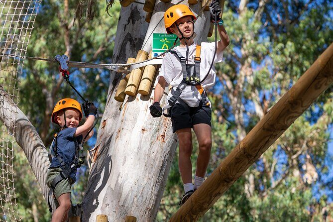 Aerial Fun & Ziplining for Our Littlest Adventurers in Salisbury - Why This Experience Offers Good Value