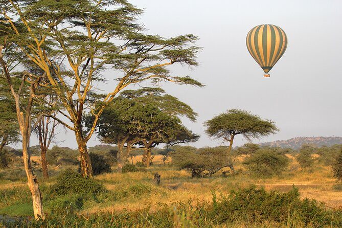 Affordable 3-Day Safari to Serengeti & Ngorongoro Crater - Key Points