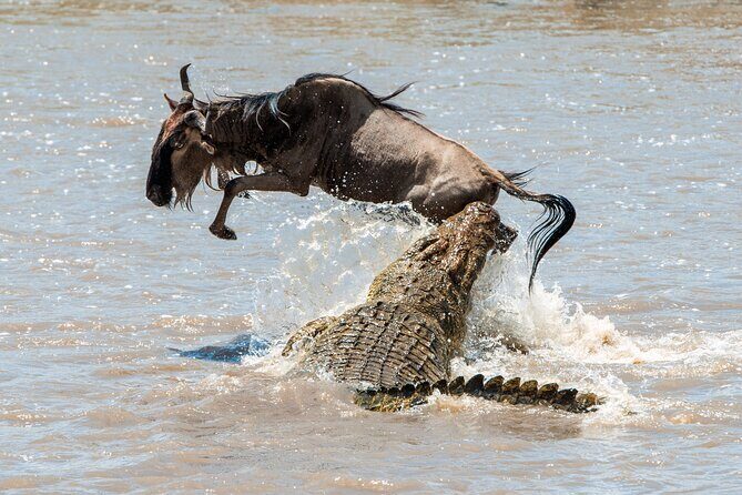 Affordable 3-Day Safari to Serengeti & Ngorongoro Crater - FAQ