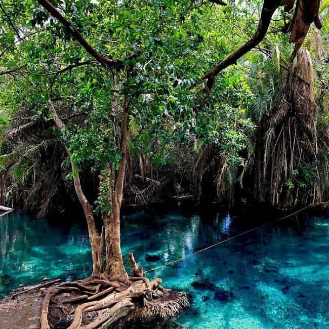 Affordable Day Trip Tour to Chemka Hot Springs from Moshi - What to Expect on the Trip