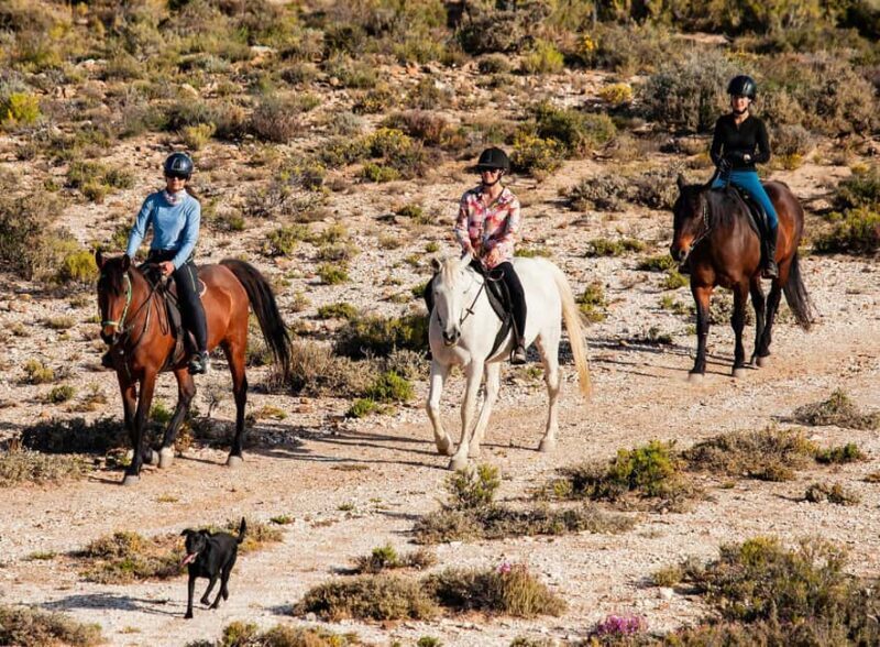 Africa on Horseback: Saddle up for a weekend of adventure - Africa on Horseback: Saddle up for a weekend of adventure