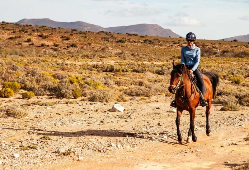 Africa on Horseback: Saddle up for a weekend of adventure - Key Points