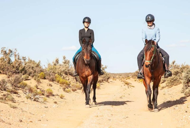 Africa on Horseback: Saddle up for a weekend of adventure - The itinerary: what to expect each day