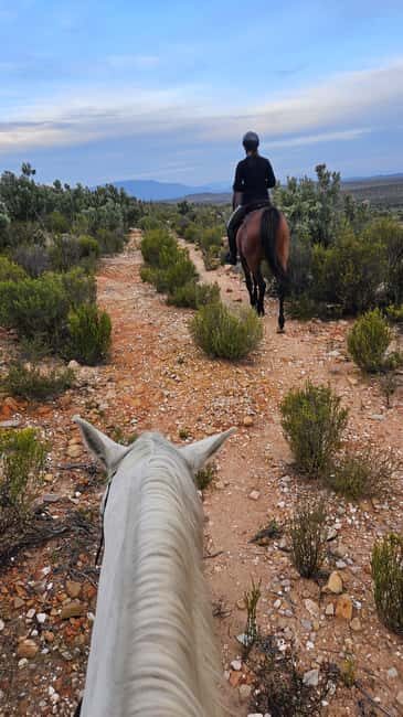 Africa on Horseback: Saddle up for a weekend of adventure - Who will love this experience?