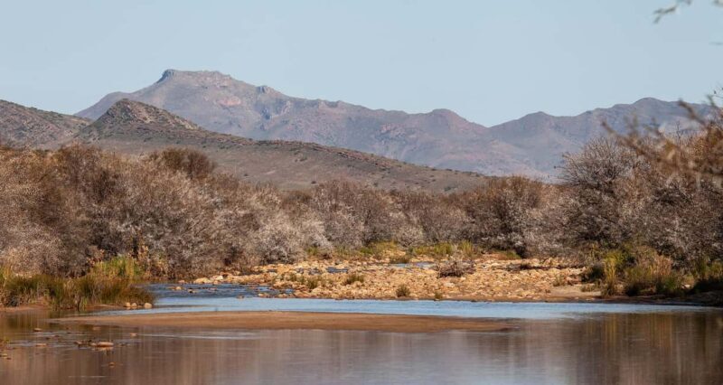 Africa on Horseback: Saddle up for a weekend of adventure - To sum it up
