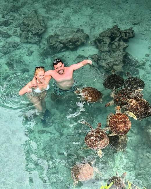 African Maldives: Mnemba, Sea Turtles & The Rock Restaurant - Key Points
