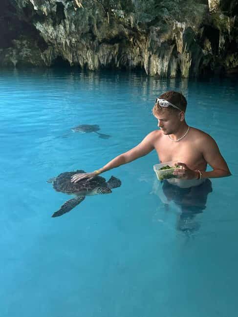 African Maldives: Mnemba, Sea Turtles & The Rock Restaurant - An In-Depth Look at the Experience
