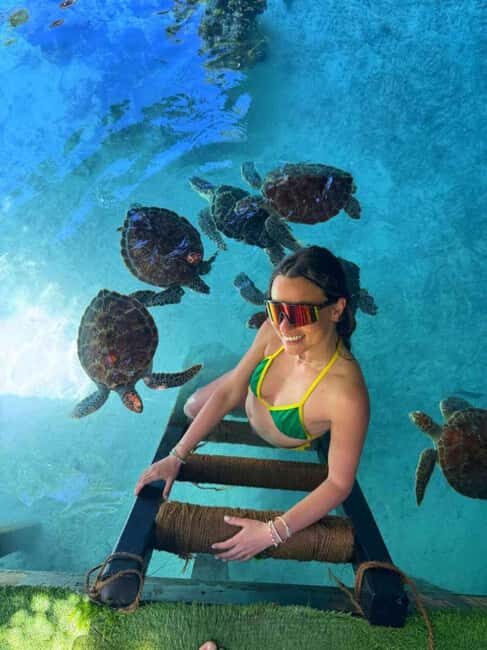 African Maldives: Mnemba, Sea Turtles & The Rock Restaurant - Final Thoughts