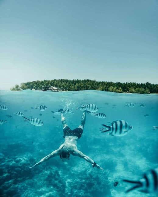 African Maldives: Mnemba, Sea Turtles & The Rock Restaurant - FAQs