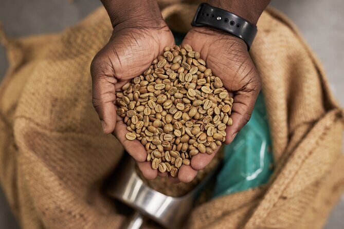 African Origin Coffee and Chocolate Walking Tour - Practical Details and Experience Value