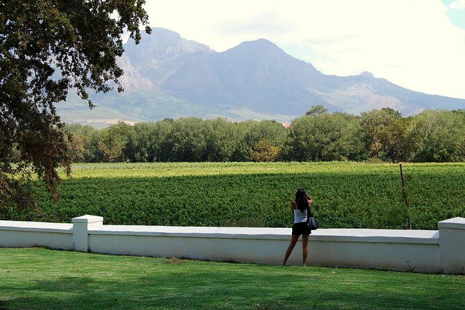 African Story Wine Tours in the Cape Winelands - The Value of the Experience