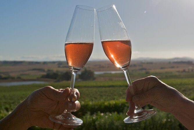 African Story Wine Tours in the Cape Winelands - The Sum Up