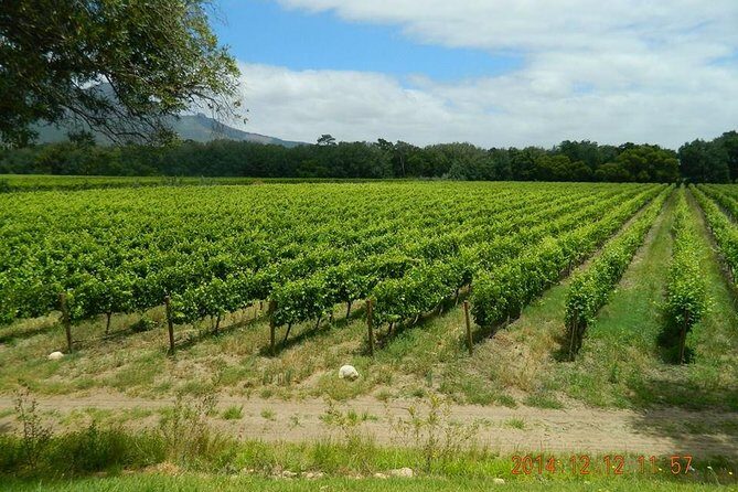 African Story Wine Tours in the Cape Winelands - FAQ