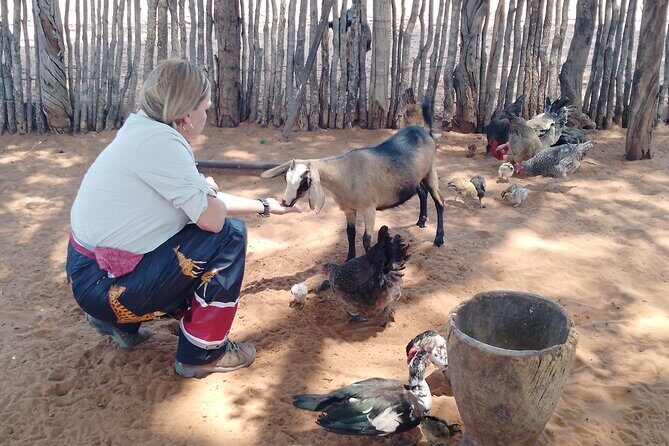African Village Tours - Exploring the Heart of Zimbabwe: What You Can Expect