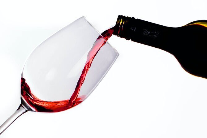 African Wine Cellar Tour with Lunch - Introduction
