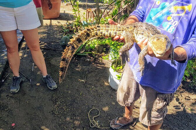 Afro-Mex Village Experience -Horseback Ride -Turtle Hatch & Crocs - Key Points