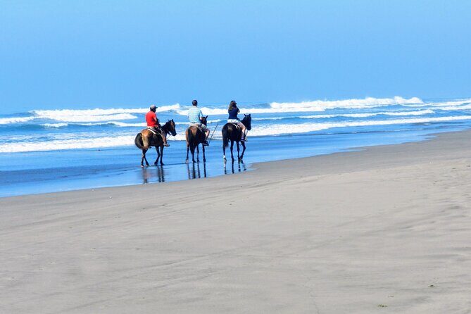 Afro-Mex Village Experience -Horseback Ride -Turtle Hatch & Crocs - Is This Tour Worth the Price?