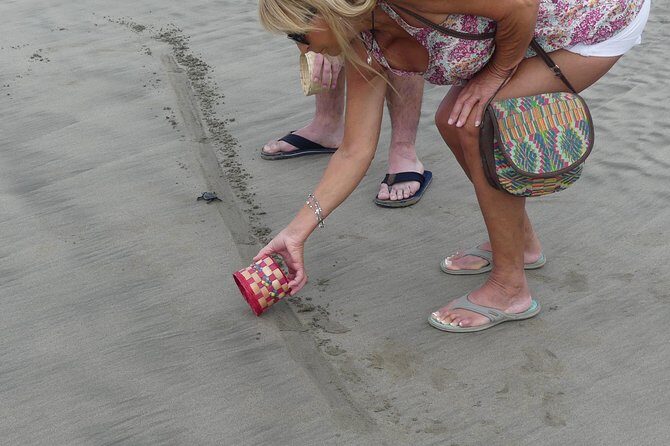 Afro-Mex Village Experience -Horseback Ride -Turtle Hatch & Crocs - Who Should Consider This Tour?
