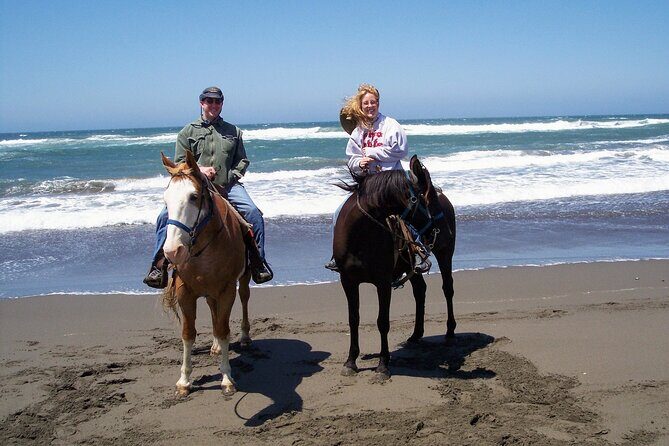 Afro-Mex Village Experience -Horseback Ride -Turtle Hatch & Crocs - Final Thoughts