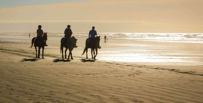 *Afro-Mex Village Horse Ride, Turtle Release Crocodile Farm - Authentic Experiences That Leave a Lasting Impression