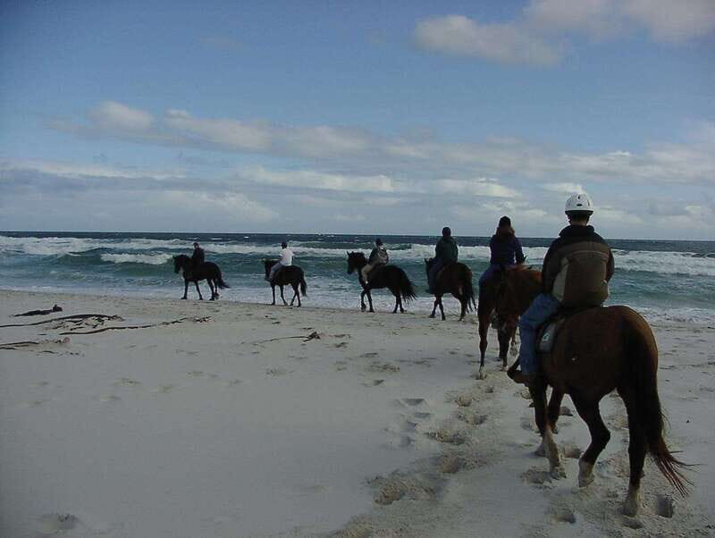*Afro-Mex Village Horse Ride, Turtle Release Crocodile Farm - Who Will Appreciate This Tour?