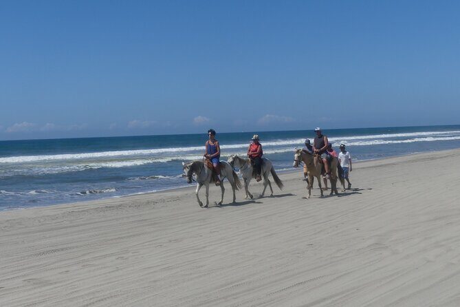 Afro-Mexican Village: Horseback Beach Ride, Crocs & Cliff Diver - Key Points