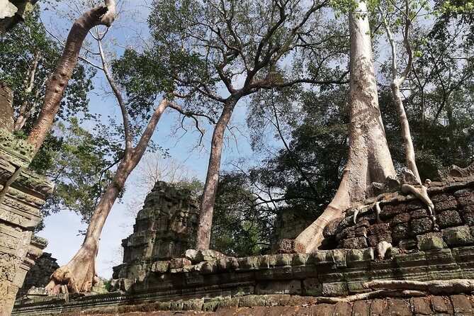 Afternoon Angkor Wat Private Tour with Sunset - Who Should Consider This Tour?