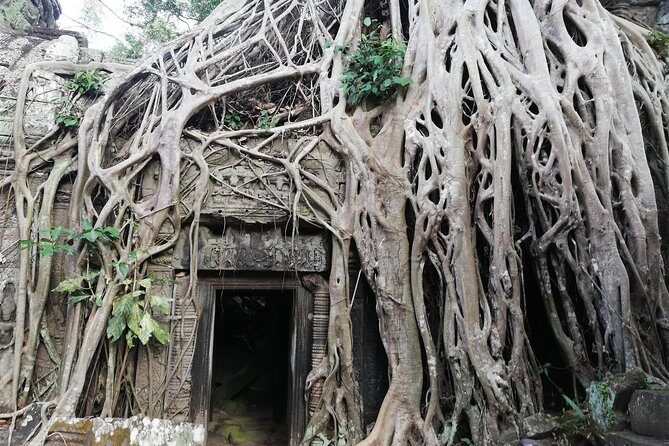 Afternoon Angkor Wat Private Tour with Sunset - FAQ