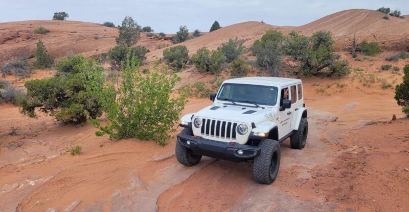 Afternoon Arches National Park 4x4 Tour - An In-Depth Look at the Tour Experience