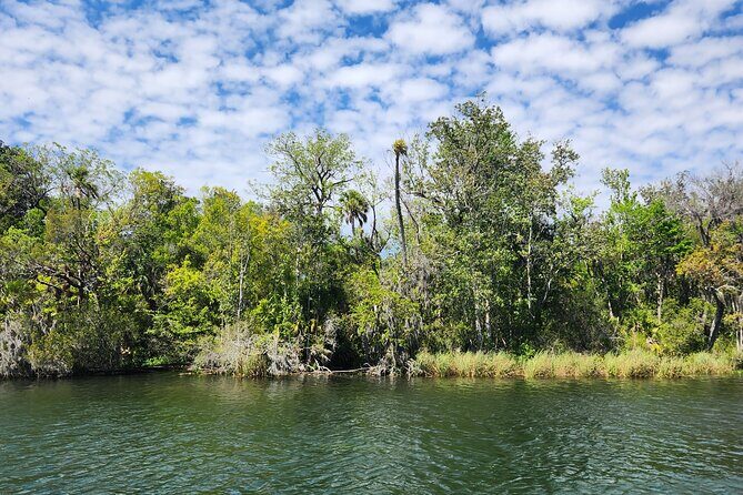 Afternoon Crystal River Ecological Boat Tour - An In-Depth Look at the Crystal River Ecological Boat Tour