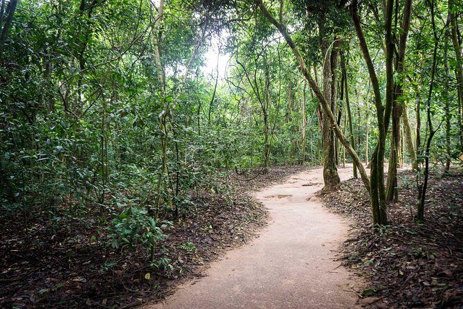Afternoon Cu Chi Tunnels - Small Group Half-Day Tour - Key Points