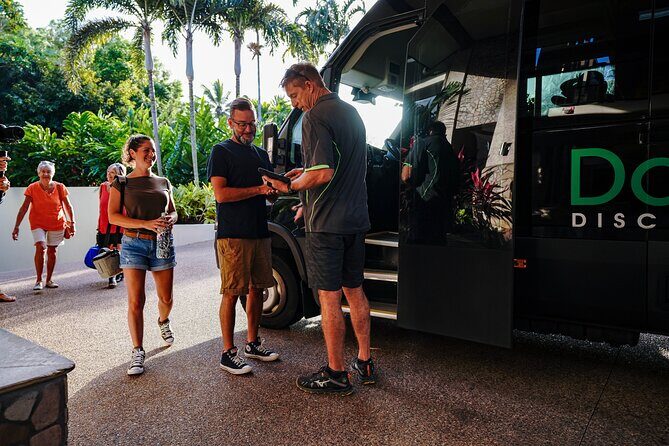 Afternoon Daintree Tour with River Cruise from Port Douglas - Key Points