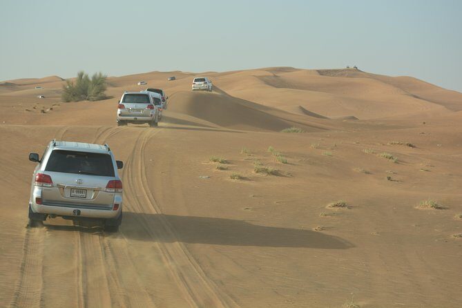 Afternoon Desert Safari with BBQ Dinner - Who Is This Tour Best For?
